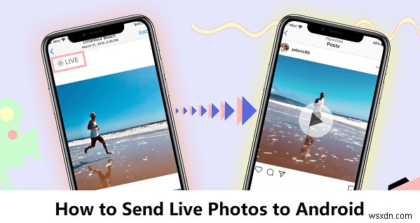 【保存版】Live PhotosをiPhoneからAndroidへ転送する4つの方法|動きと音をそのまま残す
