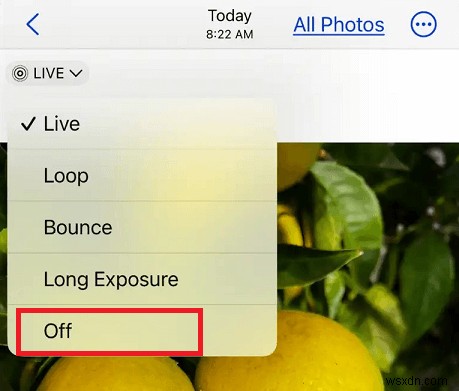 【保存版】Live PhotosをiPhoneからAndroidへ転送する4つの方法|動きと音をそのまま残す