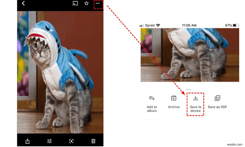 【2024年最新版】Googleフォトの写真をiPhoneのカメラロールに転送・同期する3つの方法