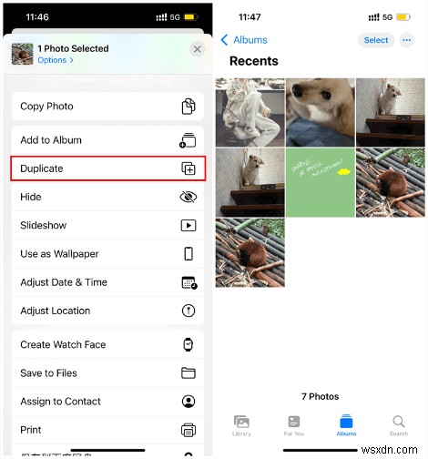 クイックガイド:オリジナルを残したままiPhone・iPadで写真を複製・編集する方法
