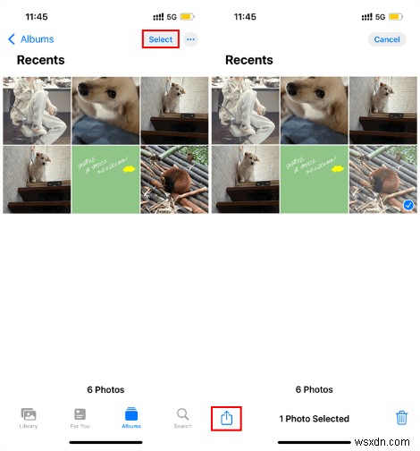 クイックガイド:オリジナルを残したままiPhone・iPadで写真を複製・編集する方法