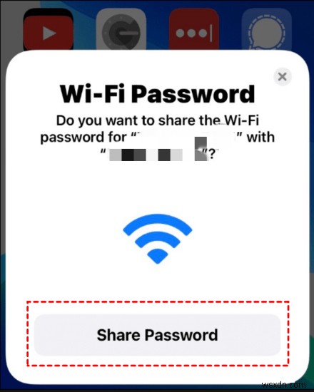 iPhone間でWi-Fiパスワードを転送・共有する方法|初心者向けステップバイステップガイド