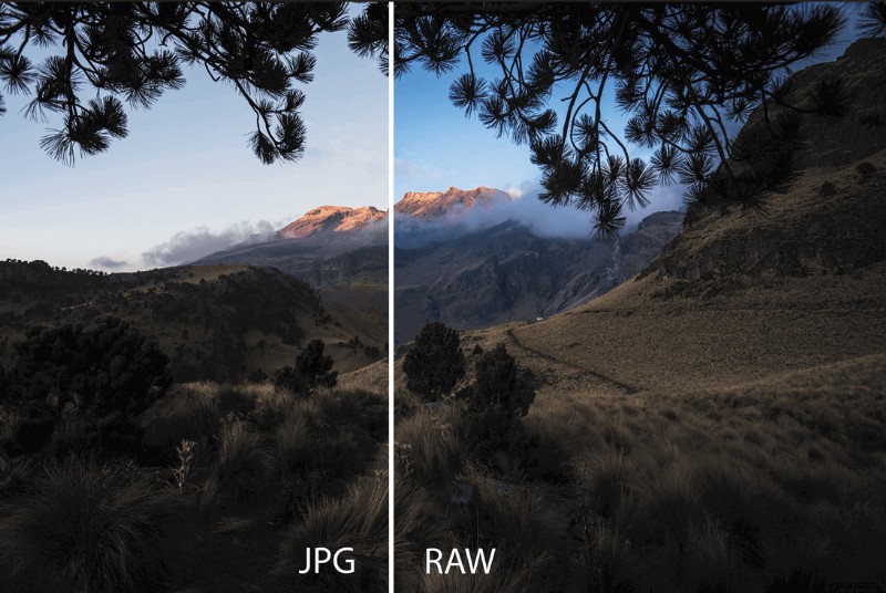 iPhone 11〜14でRAW写真を撮る方法|ProRAW・Halide設定からPC転送まで徹底解説
