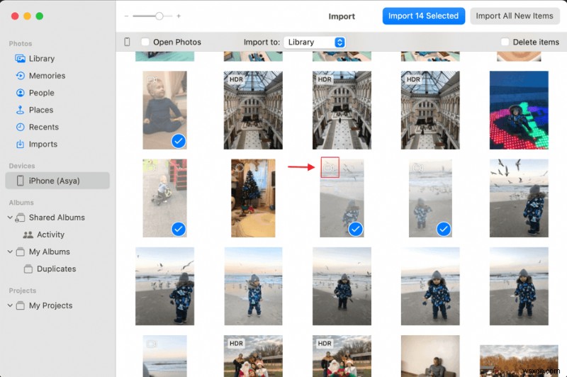 初心者向け解説|Windows・MacでiPhoneの動画をDVDに書き込む方法
