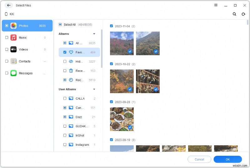 iCloud vs Googleフォト徹底比較：iPhoneの写真バックアップに最適なのはどっち?