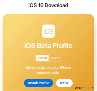 iOS 16/17/18ベータ版がiPhoneに表示されない?主な原因と解決策をわかりやすく解説
