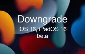 iPadOS 18ベータ版からiPadOS 17へダウングレードする完全ステップバイステップガイド