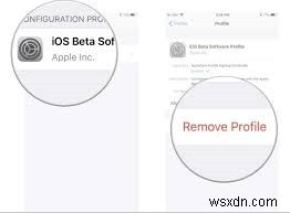 iPadOS 18ベータ版からiPadOS 17へダウングレードする完全ステップバイステップガイド