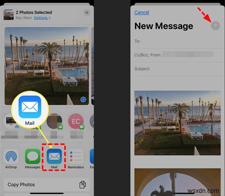 iPhoneで写真をメール送信する3つの簡単な方法【初心者向け完全ガイド】