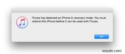 【徹底解説】iPhoneのリカバリモードが機能しない時の対処法｜iPhone 13/12/11/X/8を復元する方法