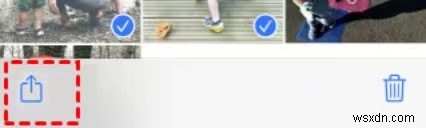 iCloudから動画をダウンロードする方法|iPhone・PC両対応のステップバイステップガイド
