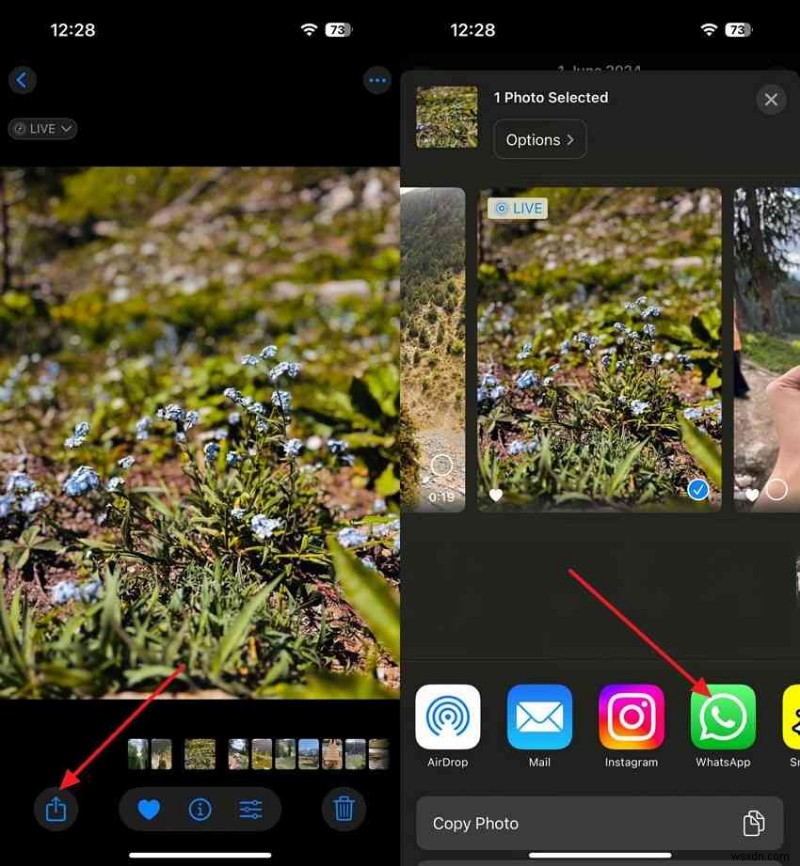 iPhoneからiPhoneへ写真を転送する10の方法|目的別に選べる簡単・安全な移行ガイド