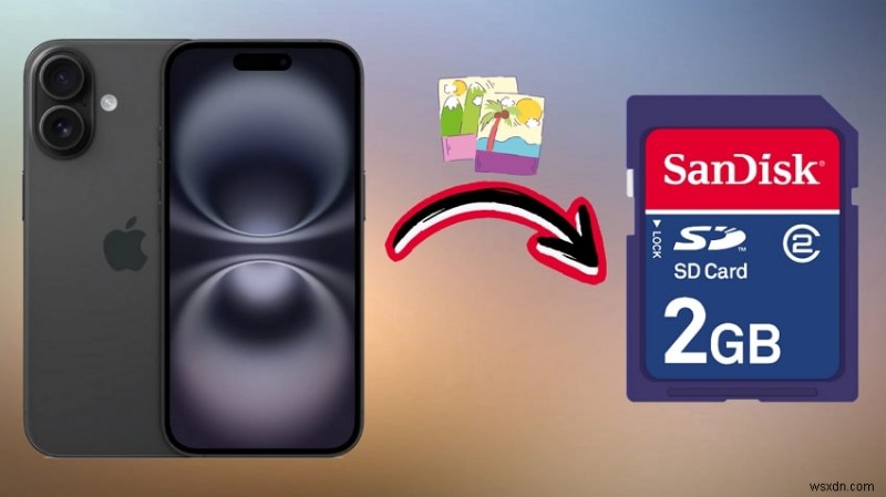 iPhoneからSDカードに写真を転送する5つの確実な方法【初心者向け完全ガイド】