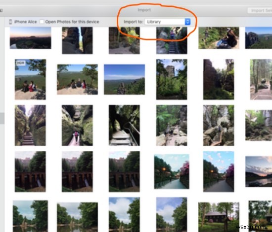iPhoneの写真を外付けハードディスクに転送する方法|PCあり・なし両対応の完全ステップガイド