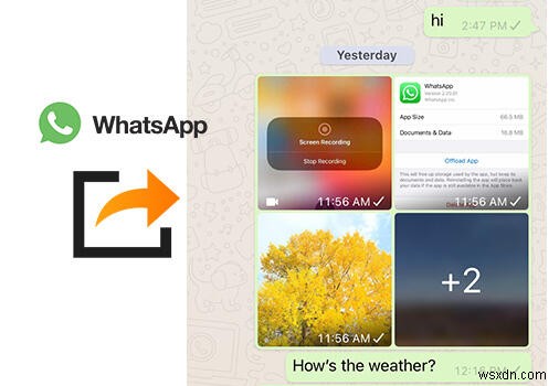 WhatsAppの写真・動画をSynciosで転送|高速・安全・簡単な5つの方法