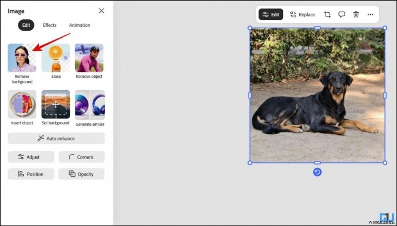 Adobe ExpressでAI生成デザインを簡単作成!クリエイター向けオールインワンツール徹底解説