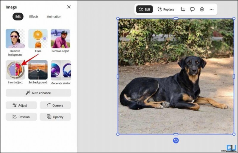 Adobe ExpressでAI生成デザインを簡単作成!クリエイター向けオールインワンツール徹底解説