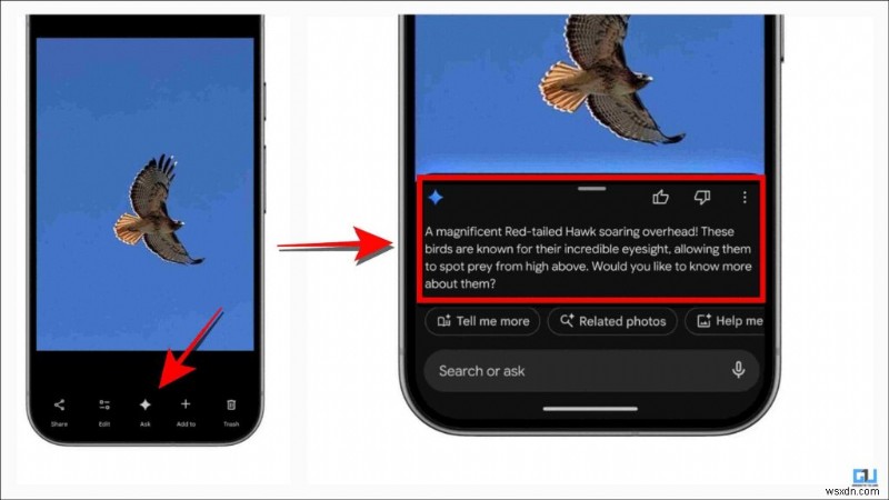 Googleフォトの新AI機能6つを徹底レビュー!Gemini×Nano Bananaで優秀な機能とイマイチな機能の差は?