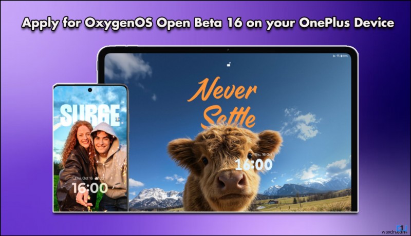 【画像付き解説】OnePlus端末でOxygenOS 16オープンベータに登録する方法