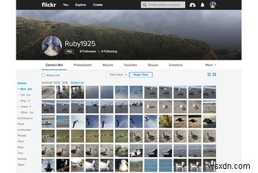 Yahooのハッキング騒動を受け、Flickrの写真を安全に退避・移行する方法