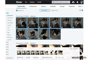 Yahooのハッキング騒動を受け、Flickrの写真を安全に退避・移行する方法
