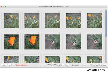 Yahooのハッキング騒動を受け、Flickrの写真を安全に退避・移行する方法