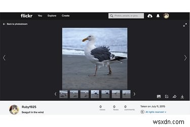 Yahooの大規模ハッキング後もFlickrが信頼される写真プラットフォームであり続ける理由
