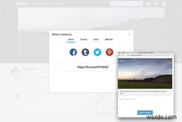 Yahooの大規模ハッキング後もFlickrが信頼される写真プラットフォームであり続ける理由