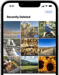 iOS 17.5の写真バグとは?iPhoneで削除済み写真が勝手に復活する原因と完全な対処法