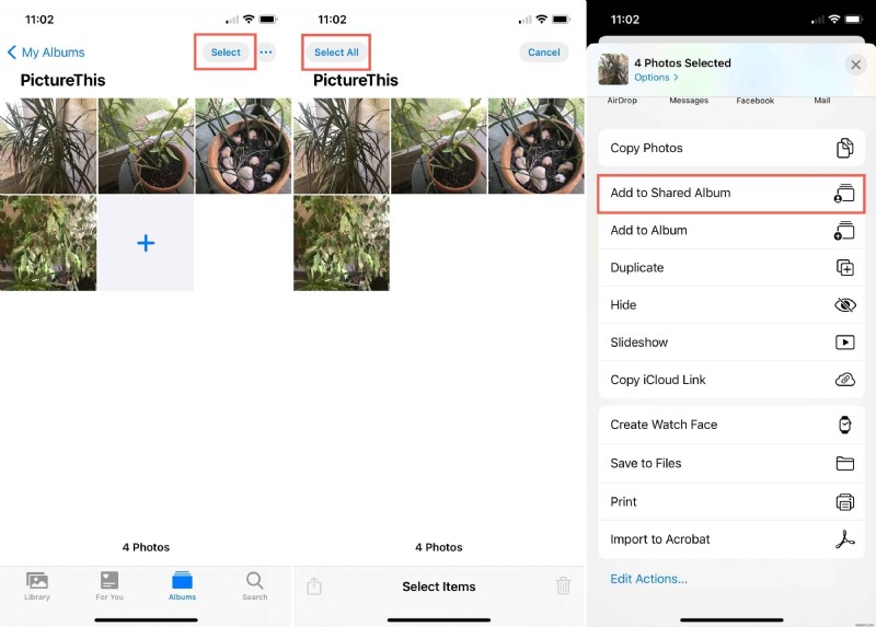 iPhoneでアルバムを共有する方法:初心者向け完全ステップバイステップガイド