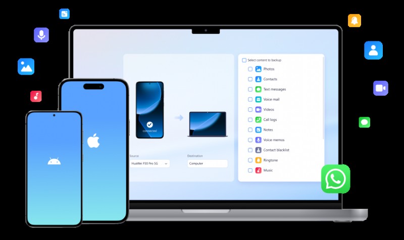 iPhoneの写真を効率的に整理する方法|初心者向けステップバイステップガイド