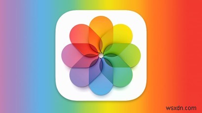 iCloud写真とは?Appleデバイスで写真を設定・同期・管理する方法を徹底解説