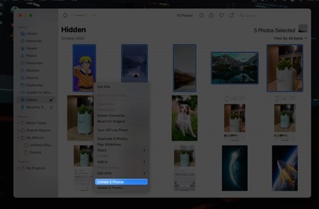 iPhoneで写真を非表示・再表示する方法|プライベート写真管理の完全ガイド