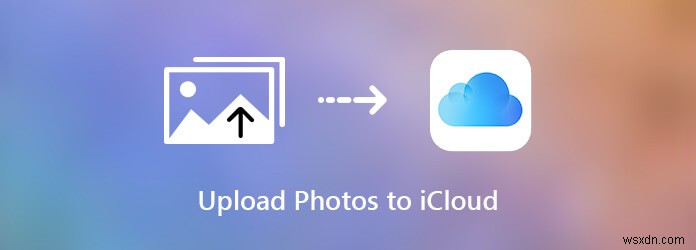 GoogleフォトとiCloud徹底比較:写真の保存に最適なのはどちら?
