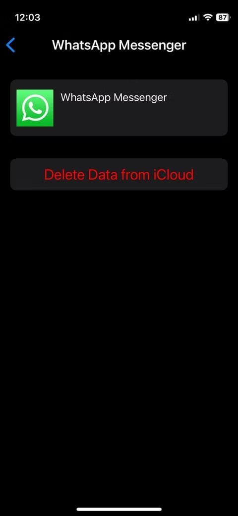 WhatsAppがiCloudにバックアップされない問題を解決する7つの確実な方法