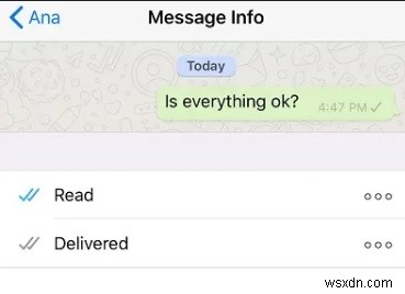 【2026年最新版】WhatsAppのチェックマーク1つ(✓)の意味とは?グレー・ブルーの見分け方と対処法を徹底解説