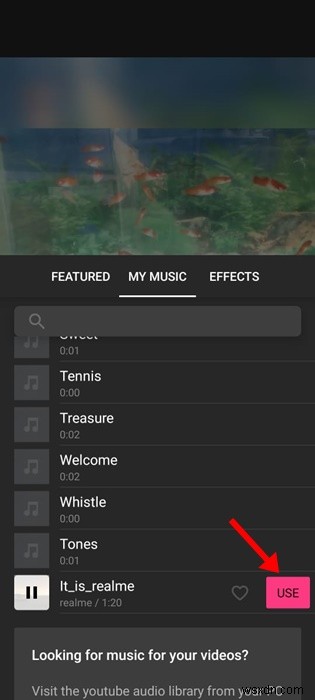 iPhoneのWhatsAppステータスに音楽を追加する方法|InShot・VivaVideo対応の完全ガイド