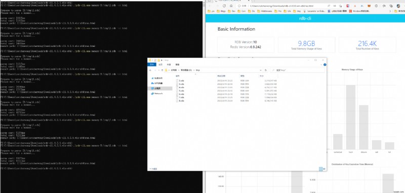 Redis RDBファイルを解析する包括的ツール「rdb-tools」の使い方とカスタマイズ方法