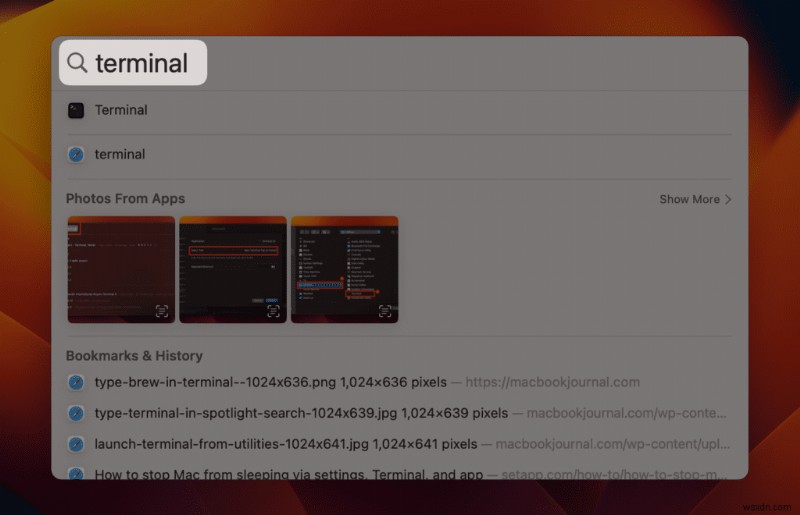 macOSで「brew: command not found」エラーを解決する方法 – Homebrewパス設定のクイック修正ガイド