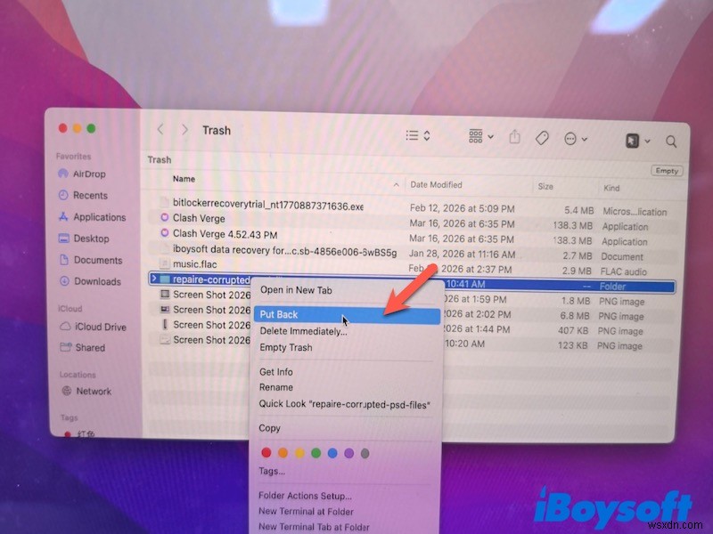 MacBook データ復元ガイド|Air・Proで失われたファイルを安全に取り戻す方法