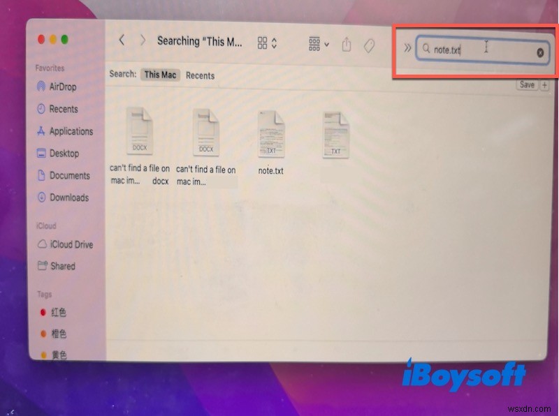 Macでファイルが見つからない?簡単な手順でファイルを発見・復元する方法
