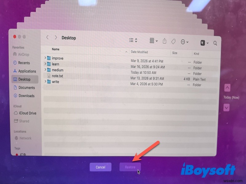 Macでファイルが見つからない?簡単な手順でファイルを発見・復元する方法