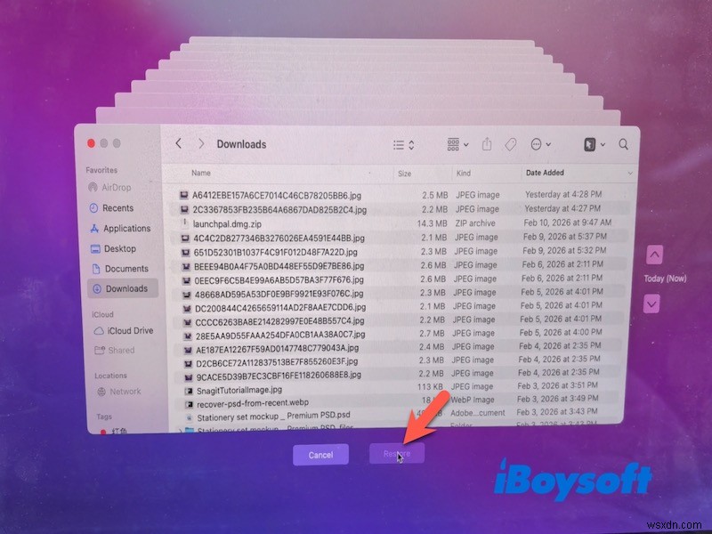 Macで削除した音楽ファイルを復元する方法|ステップバイステップ完全ガイド