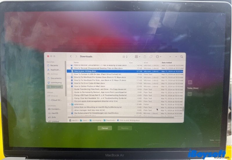 Macで削除したダウンロードを復元する方法|ファイル・ダウンロードフォルダの完全復旧ガイド