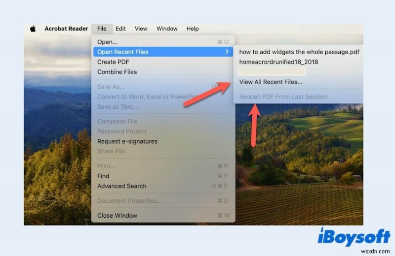 Macで削除・未保存のPDFファイルを復元する方法|素早く確実な手順を解説