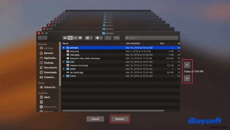 macOS Venturaアップデート後に消えたファイルを復元する方法｜実証済みステップバイステップガイド