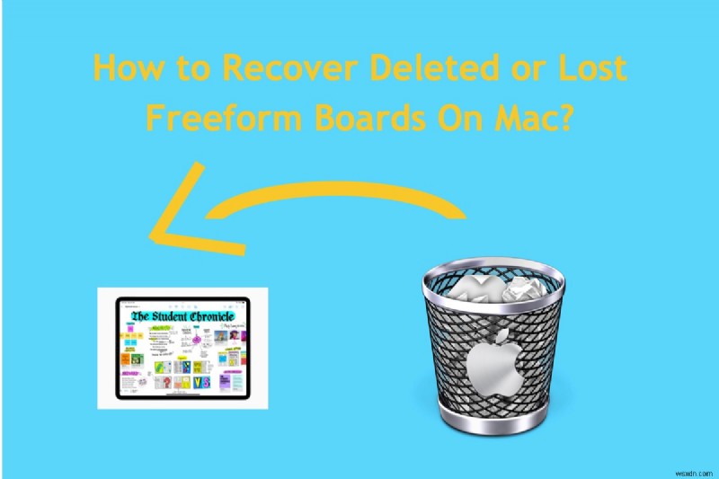 Macで削除・消失したFreeformボードを復元する方法|プロツールと標準機能の完全ガイド