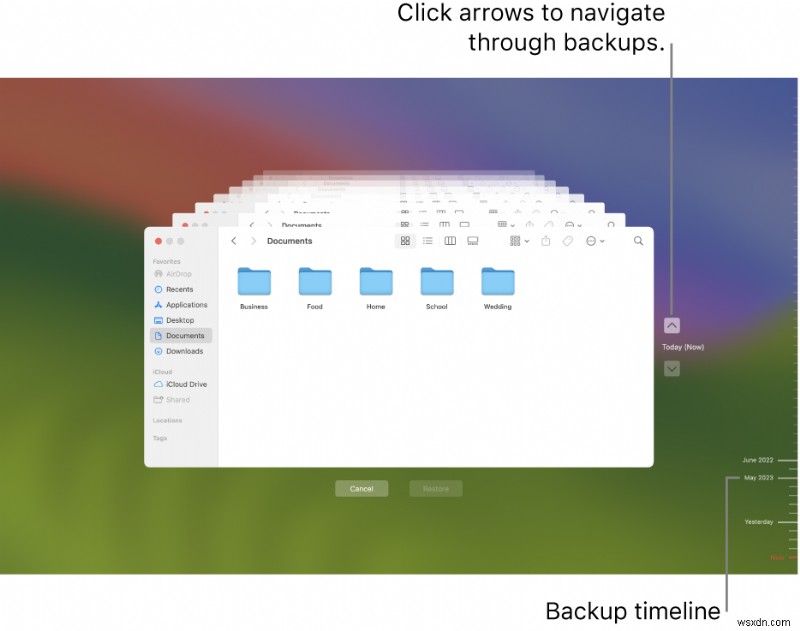 Macで削除・消失したFreeformボードを復元する方法|プロツールと標準機能の完全ガイド