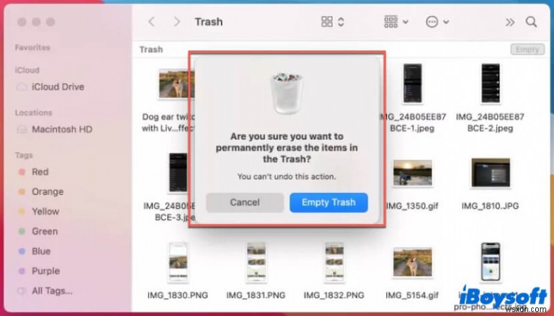 Macのゴミ箱を空にする方法を徹底解説!手動・自動・ファイル復元までの完全ガイド