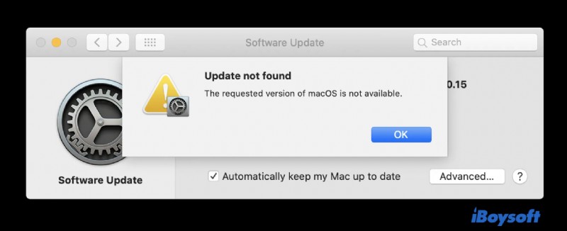 macOS Venturaのよくある問題トップ10｜原因と初心者でもできる簡単な解決策